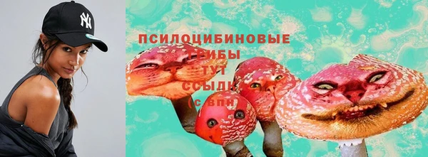 мяу мяу мука Армянск