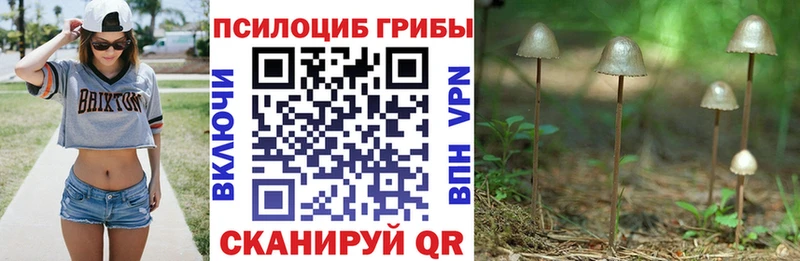 Галлюциногенные грибы мицелий  ссылка на мегу зеркало  Берёзовка 